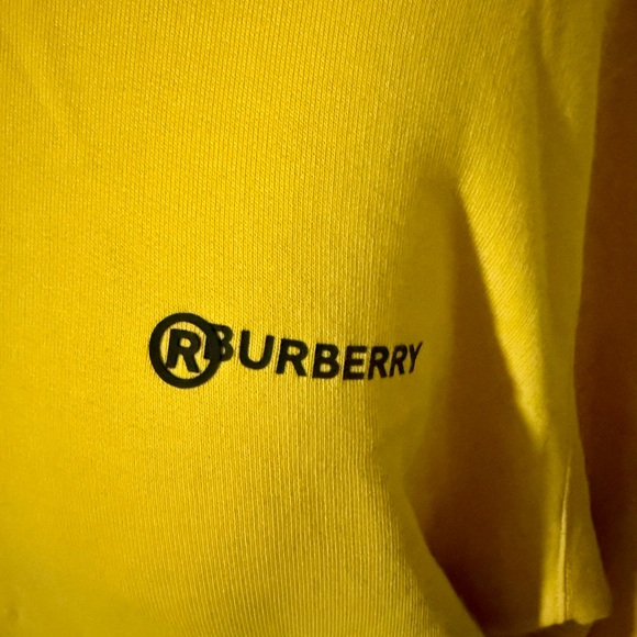 Excellent condition, Burberry men’s/unisex hooded sweatshirt, size XL - Picture 2 of 7